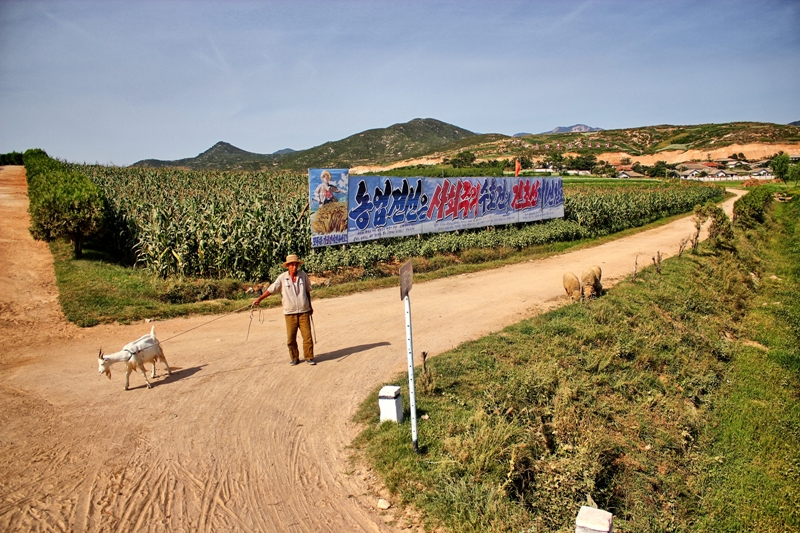 Crossroads in Rural North Korea